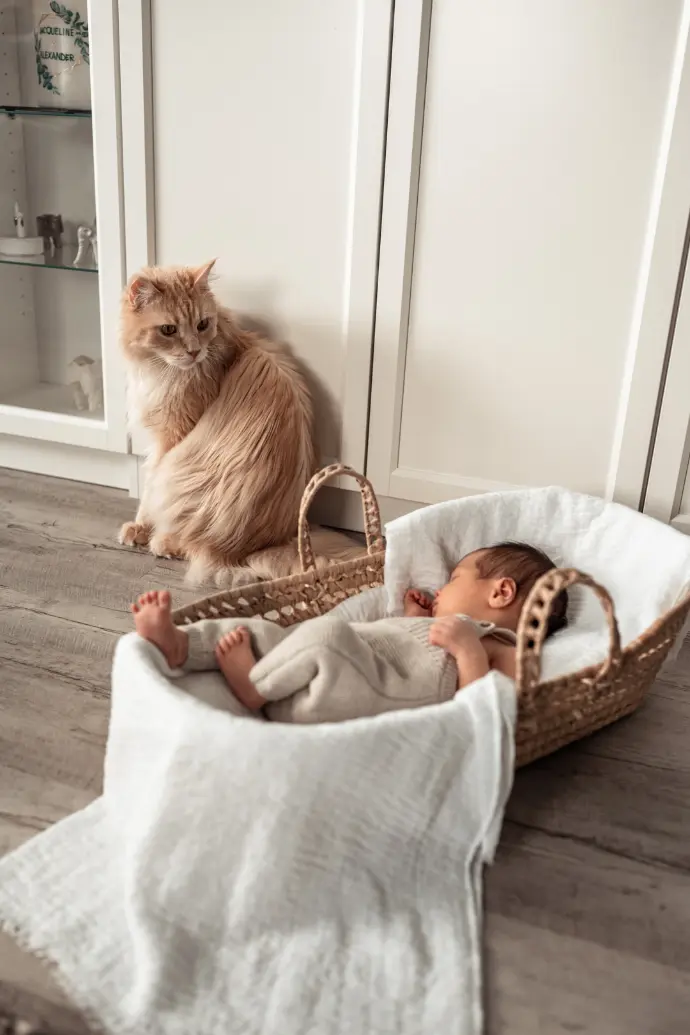 Babyfotograf Haßfurt Schweinfurt Bamberg Newbornfotograf Haßfurt Newborn Homestory Haßfurt Schweinfurt Gerolzhofen Ebern Bamberg Zeil am Main Knetzgau Fotograf Sand am Main Fotograf Knetzgau Fotograf Hofheim i. Ufr. Fotograf Schweinfurt Bamberg Ramona Eller Fotografie mona.fotografiert 